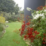 Garden Maintenance Palm Beach