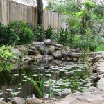 gallery-pond1
