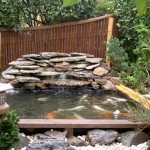 gallery-pond3