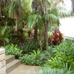 Tropical Planting Whale Beach