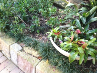 Balgowlah