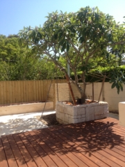 Manly Vale