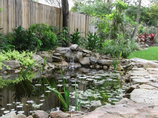 Frenchs Forest