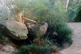 Bilgola Plateau